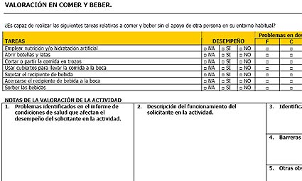  NUEVO SISTEMA DE VALORACIÓN PARA EL BVD (BAREMO DE VALORACIÓN DE LA DEPENDENCIA)